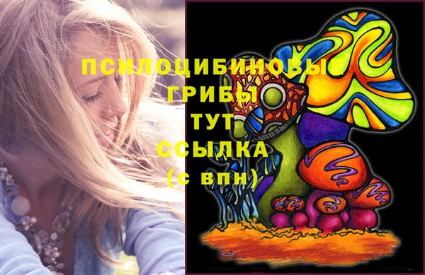 PSILOCYBIN Бородино